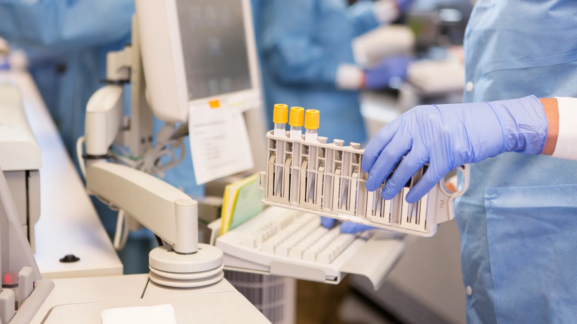 Phlebotomist collecting a sample